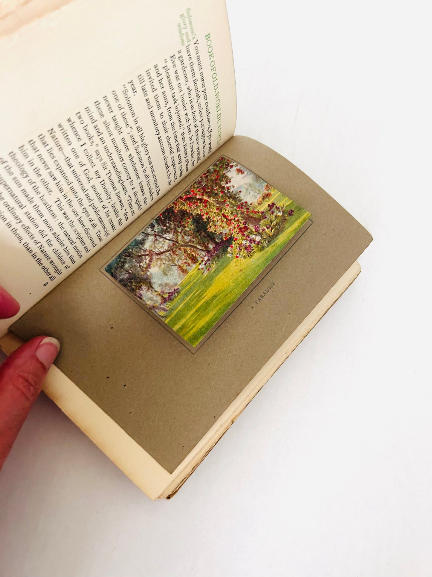 Un livre sur les jardins du vieux monde illustré par Beatrice Parsons