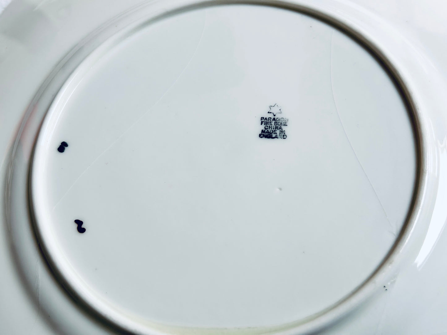 Assiette décorative « Oiseaux de paradis » en porcelaine Paragon Star