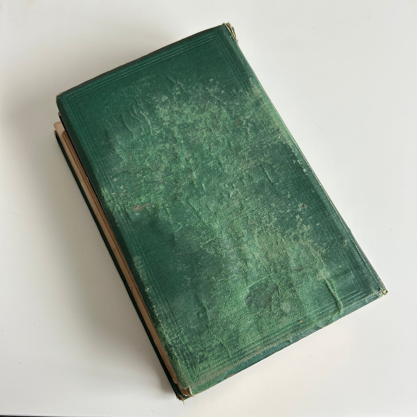 Fleurs sauvages anglaises FT Burgess Planches et illustrations en couleur à couverture rigide JT Burgess 1868