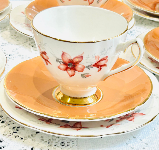 Vintage Fine Bone China Tea Set Trio – Floral Apricot English Teacup & Saucer Elizabethan