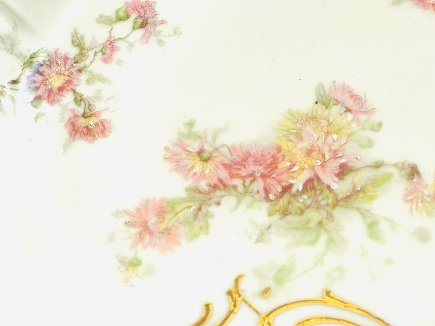 Coupe à fruits en porcelaine de Limoges