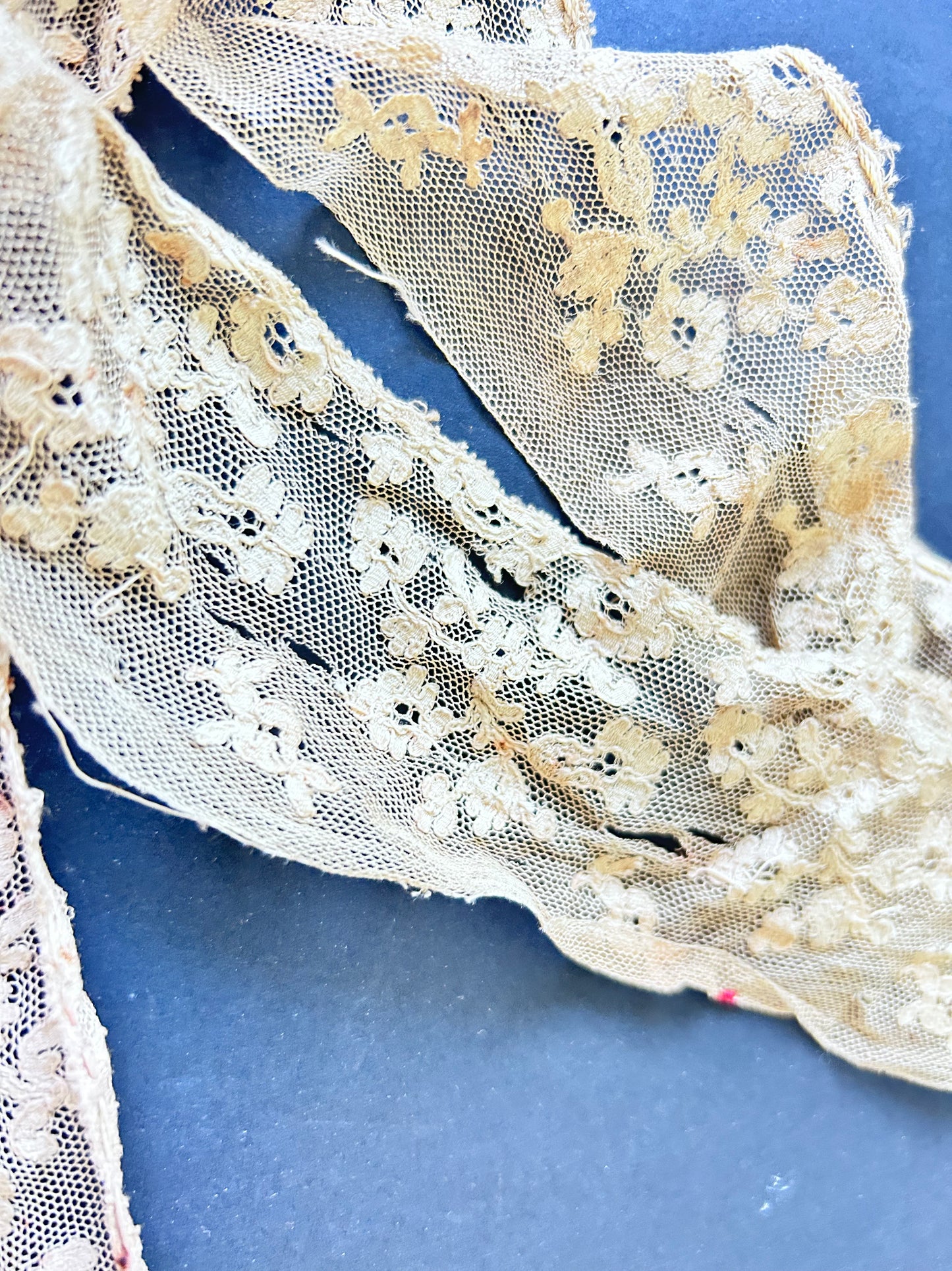 Embroidered Net Lace Trim AF