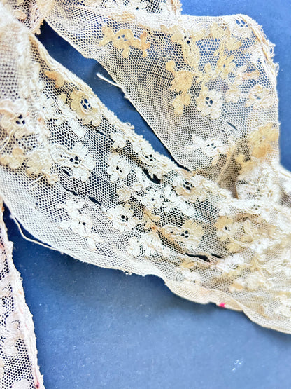 Embroidered Net Lace Trim AF