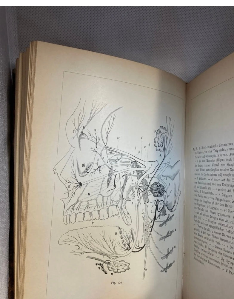 SOLD  - BilderAtlas Picture atlas of the main features (basics) of the psychology of language by the Author Dr. Ottomar Dittrich 1903