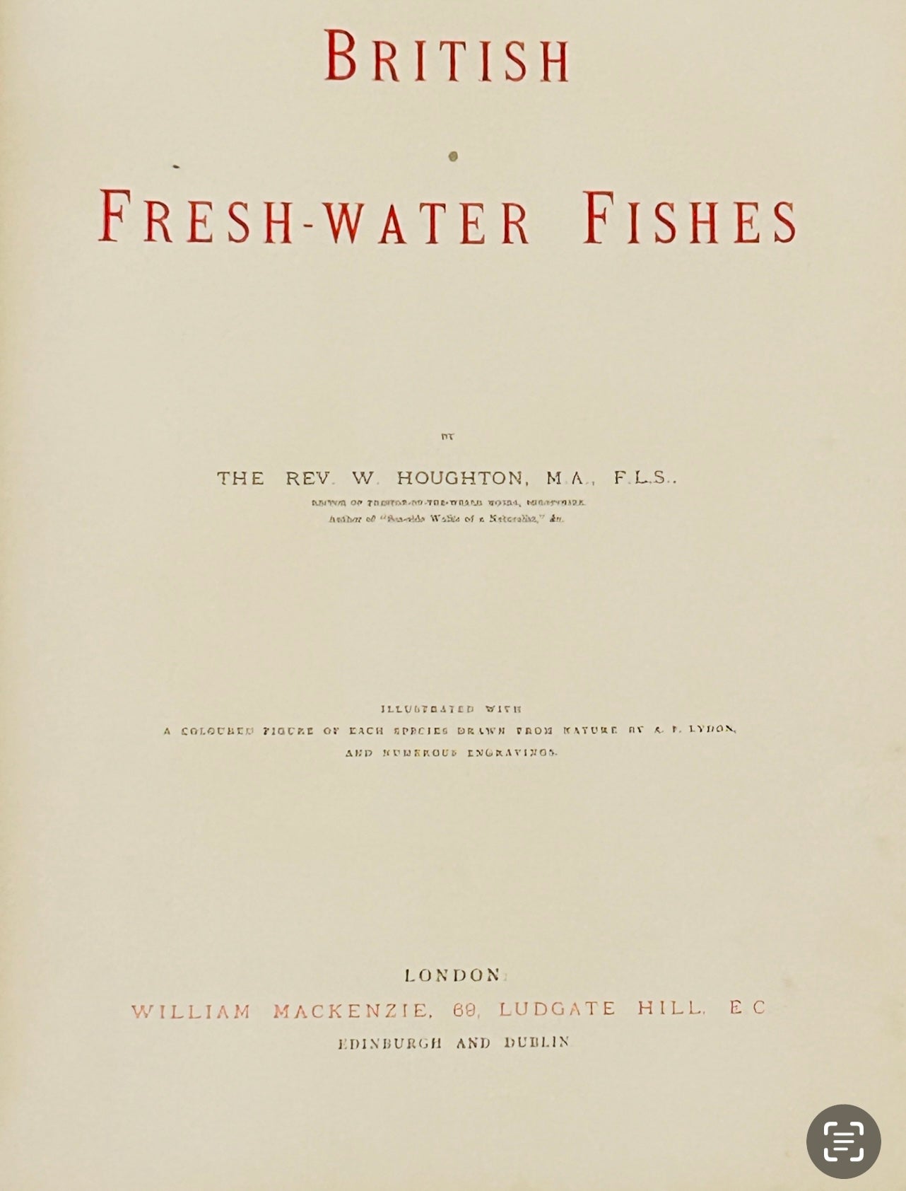 1879 Hand‑Coloured Fish Print – Rev. W. Houghton British Freshwater Fish, Windermere / Coles / Grays Char – Original Antique Plate