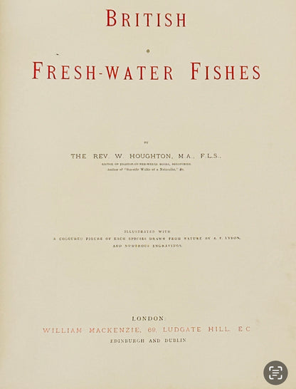 1879 Hand‑Coloured Fish Print – Rev. W. Houghton British Freshwater Fish, Windermere / Coles / Grays Char – Original Antique Plate