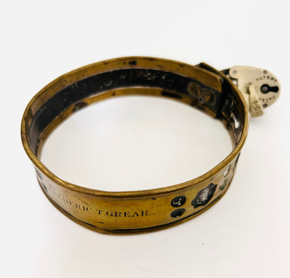 Victorian Brass Pet Collar