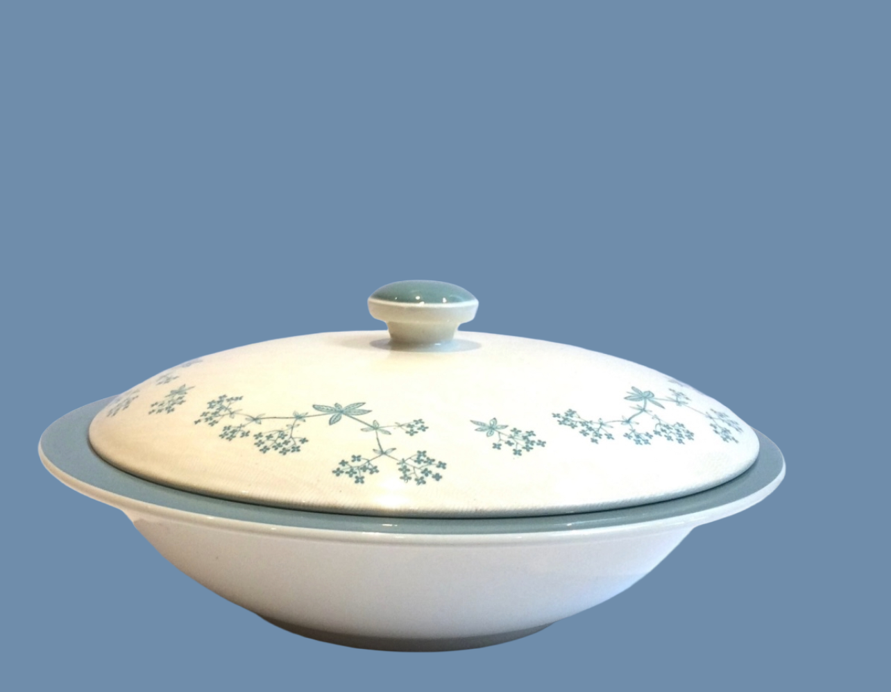 Royal Doulton April Showers Vegetable Tureen - D6434