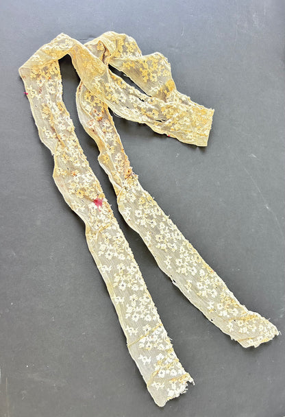 Embroidered Net Lace Trim AF