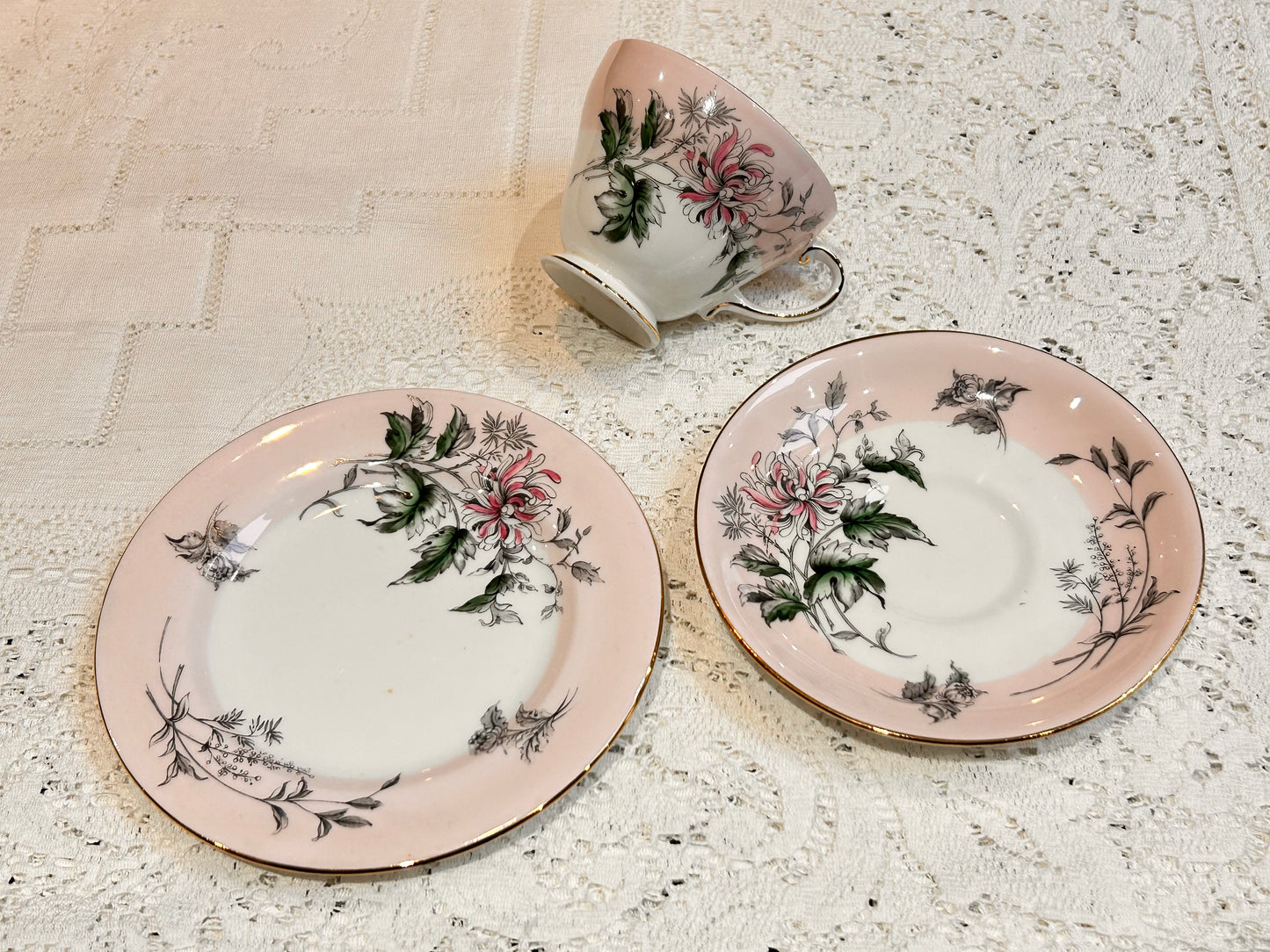 Royal Grafton Pink Floral Teacup & Saucer set