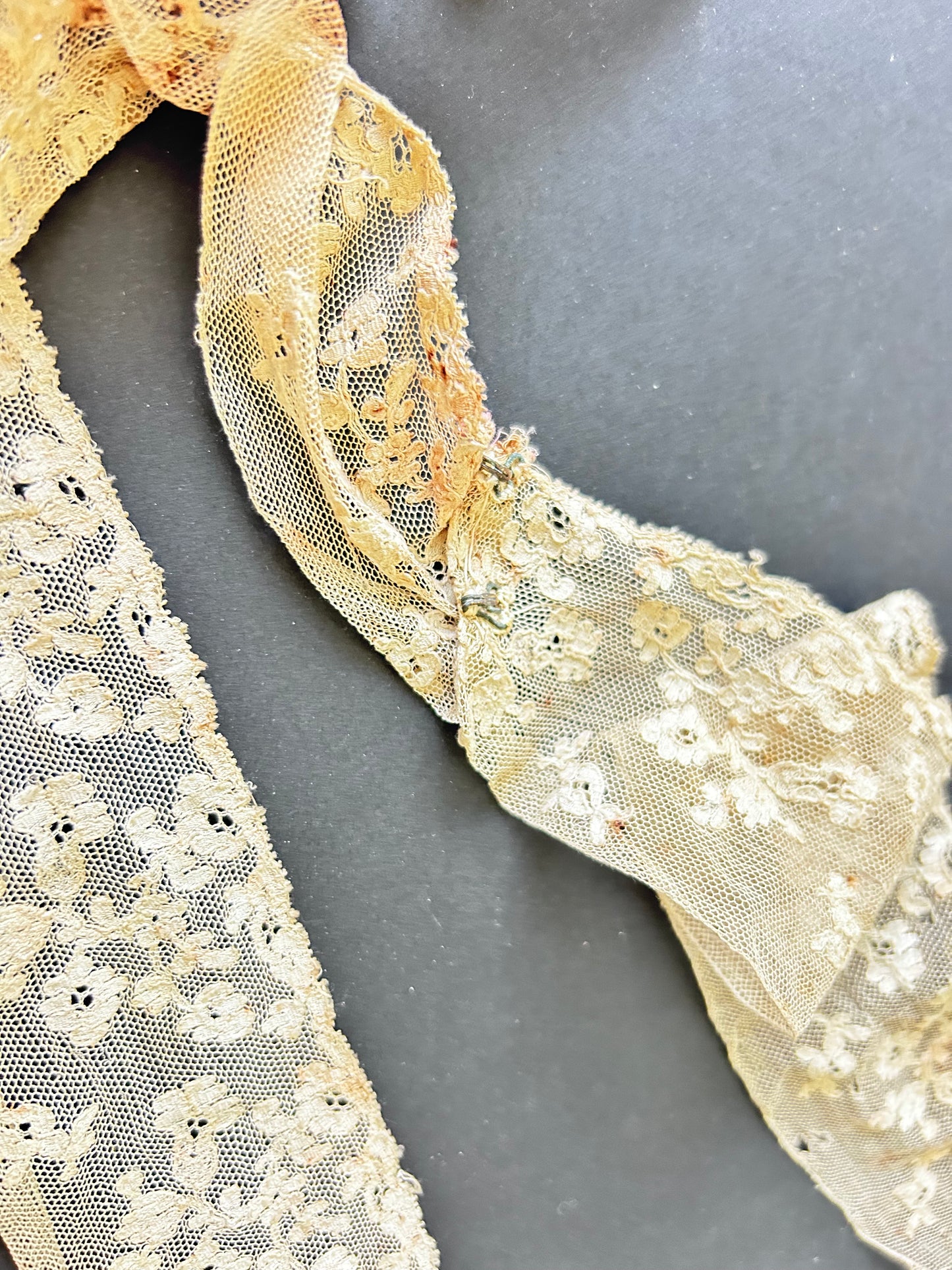 Embroidered Net Lace Trim AF