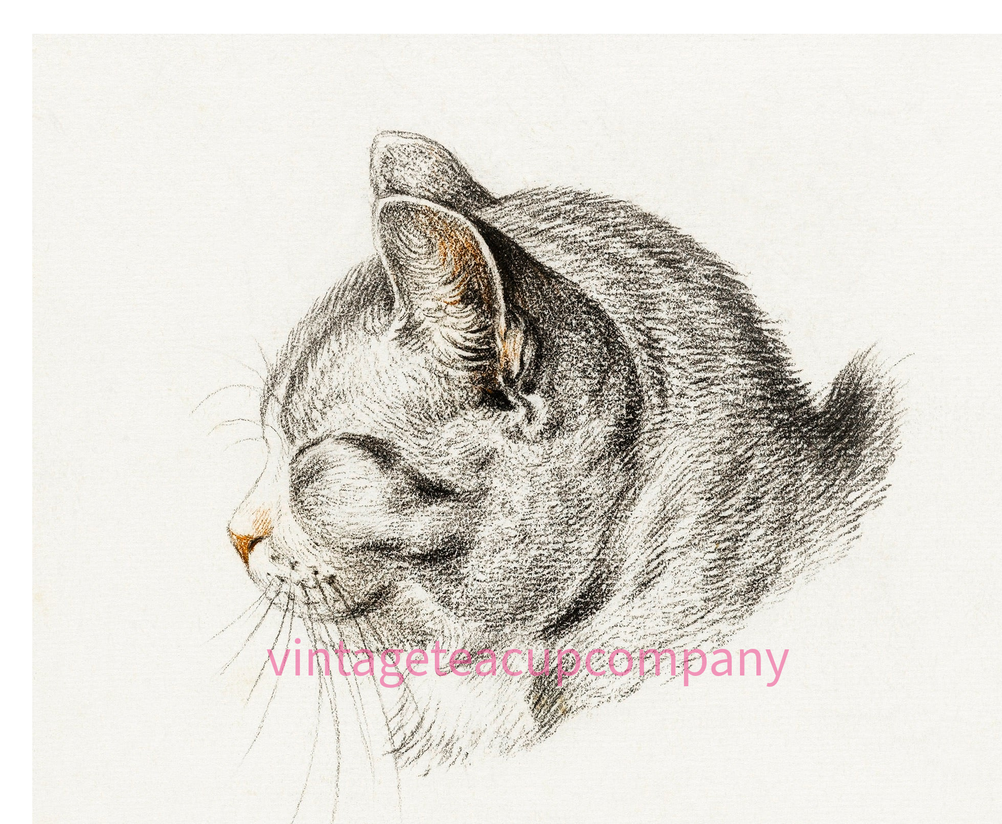 Sleeping Tabby Cat Art Print, 1775 Bernard Dutch Illustration, Cuddly Vintage Feline Wall Art