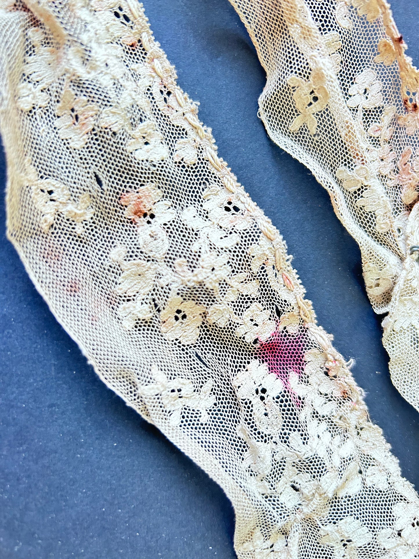 Embroidered Net Lace Trim AF