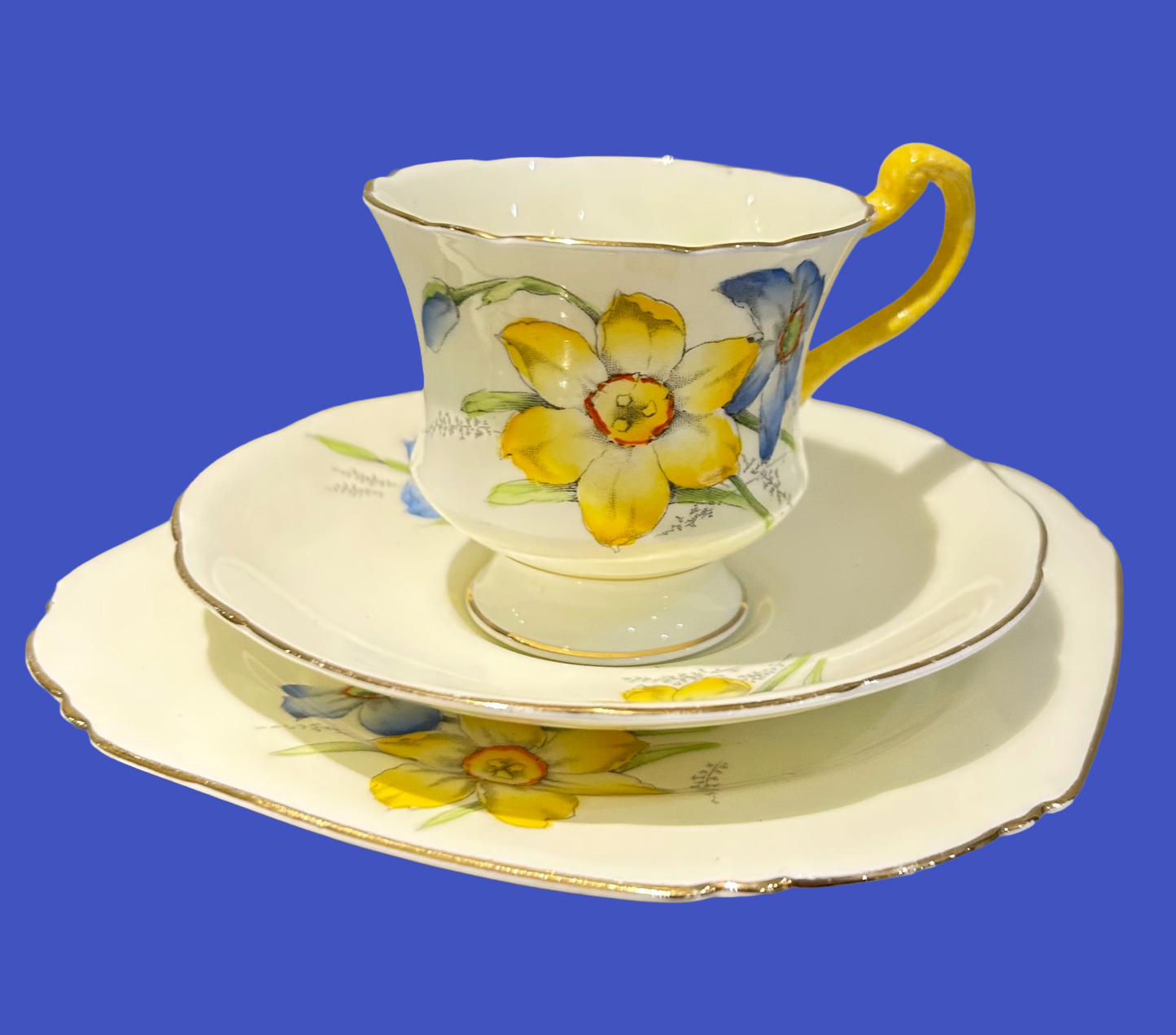 Paragon China Yellow Daffodil Floral Tea Set