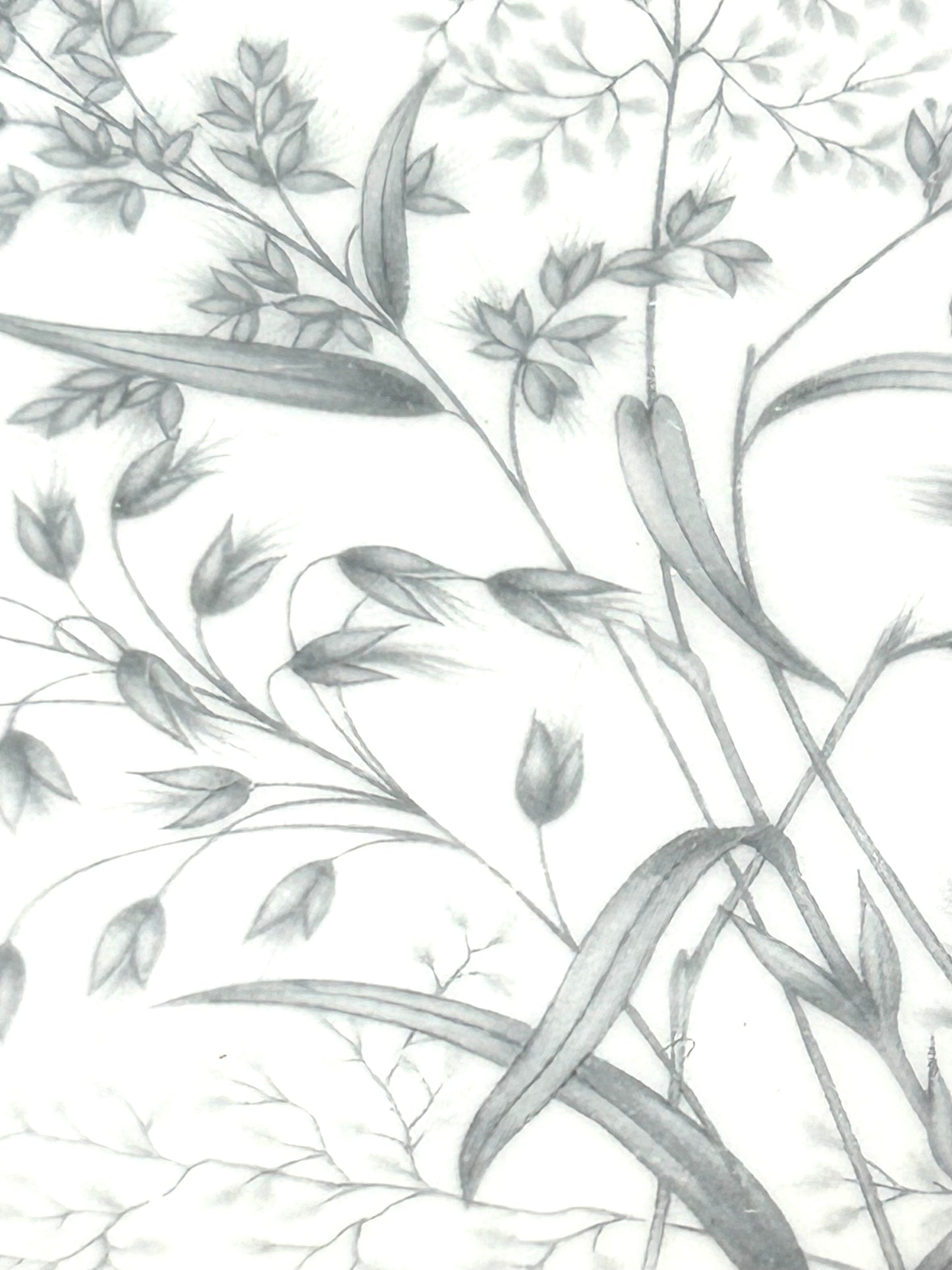 x 6 assiettes à dessert toscanes « Woodside »