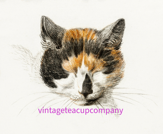 A charming hand‑drawn calico cat dozing peacefully, full of soft pencil texture and warm personality. This cosy feline illustration brings instant comfort to any room, perfect for cat lovers, cottage‑core homes, and anyone who appreciates gentle, expressive animal art. Ideal as a gift, gallery wall addition, or a sweet accent for bedrooms, studios, and reading nooks.