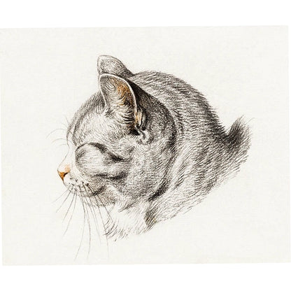 Sleeping Tabby Cat Print - Dutch Artist Barnard (1775)