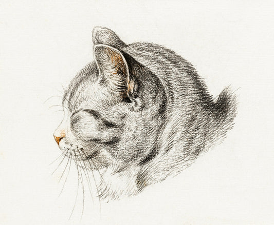 Sleeping Tabby Cat Print - Dutch Artist (1775)