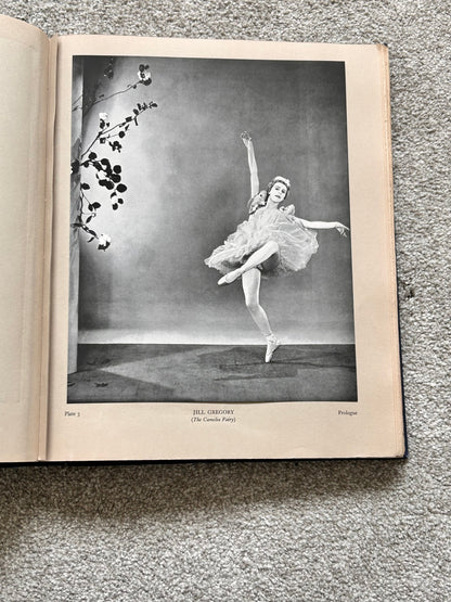 Ballet Photographic Print - Jill Gregory The Camelia Fairy