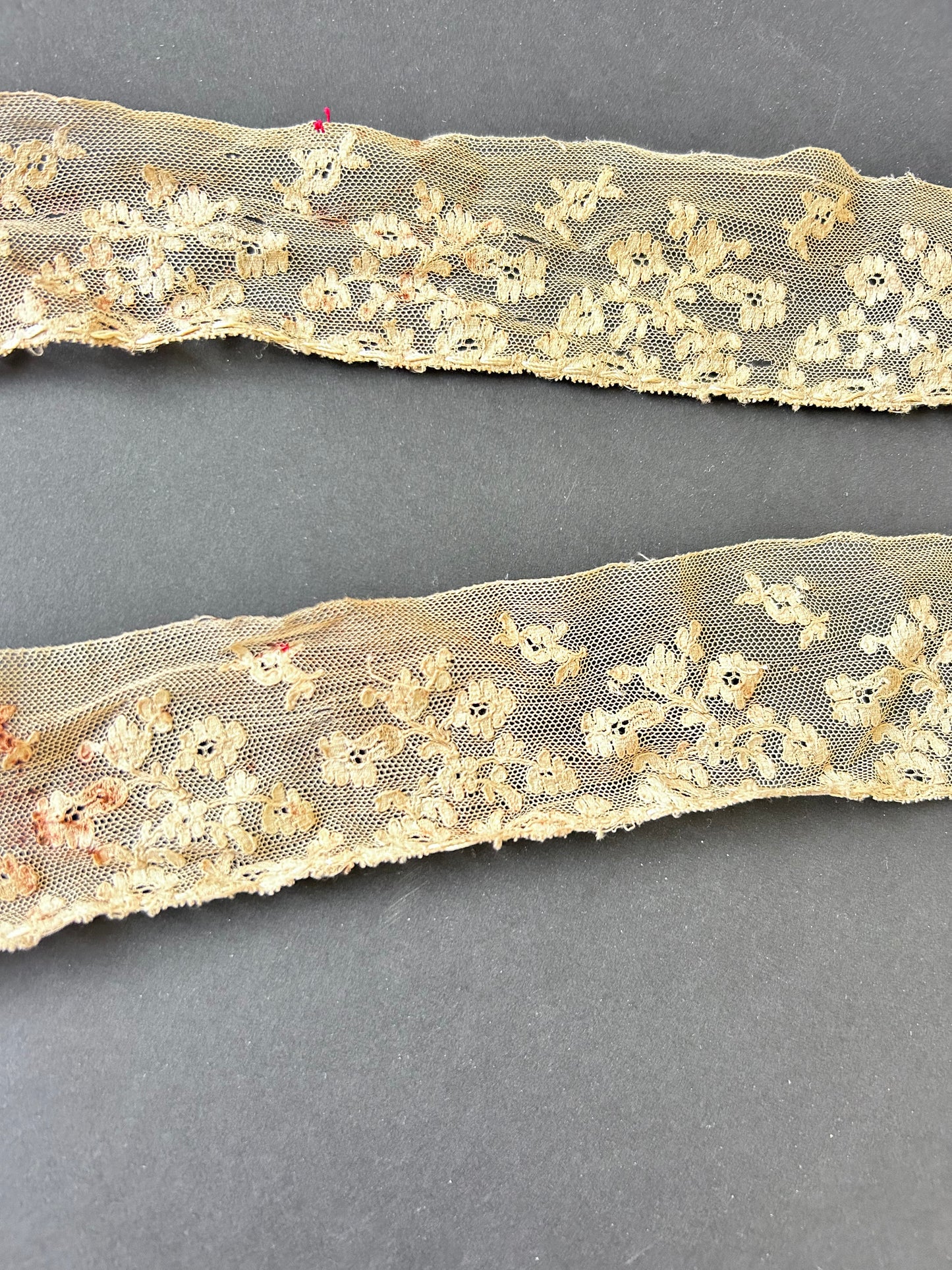 Embroidered Net Lace Trim AF