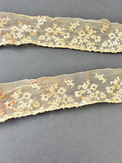 Embroidered Net Lace Trim AF