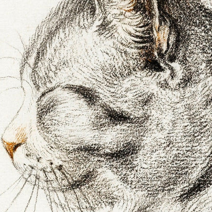 Chat tigré endormi - Artiste néerlandais Barnard (1775)