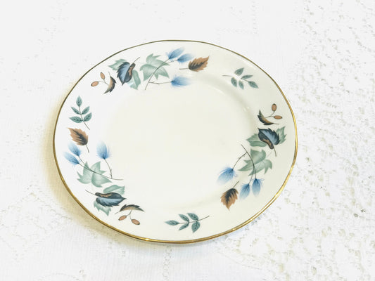 6 Dinner Plates Colclough English bone china vintage floral - Linden 8162