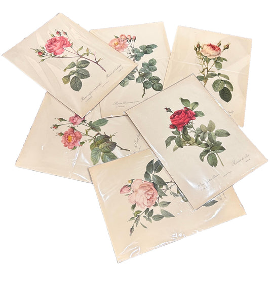 Redoute Vintage Pink Roses Print Size A3