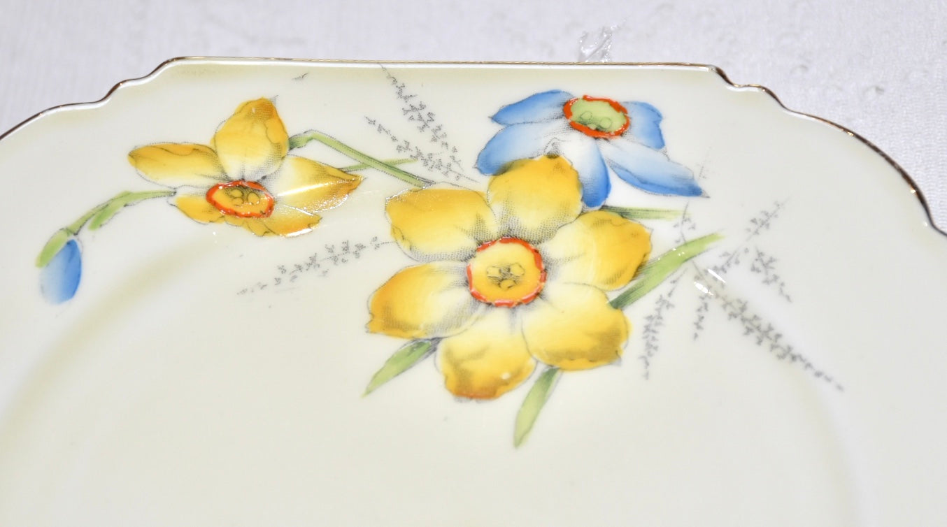 RARE Paragon 1930's Narciso pintado a mano juego de té